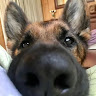 Rebeka Kiss avatárja
